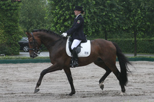 CAPRISTERN v. Cardos x Ibar xx - erfolgreichstes 8-jähriges Mecklenburger Dressurpferd. Foto: Wego